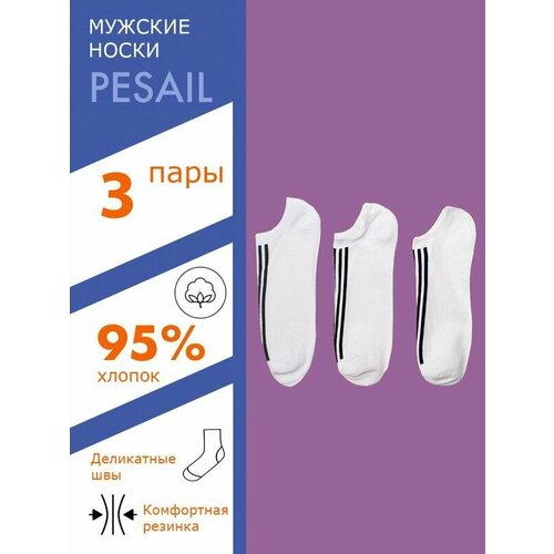  Pesail, 5 ,  42-46, 