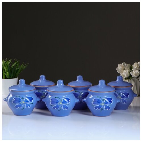 фото Набор горшков для жаркого №5 с ручками 6х0,5л 4441364 борисовская керамика