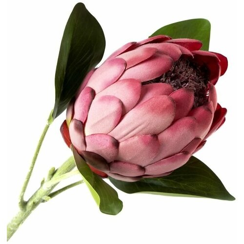 Цветок искусственный Артишок розовый Искусственное декоративное растение Сухоцвет Прованс Сканди Сувенир