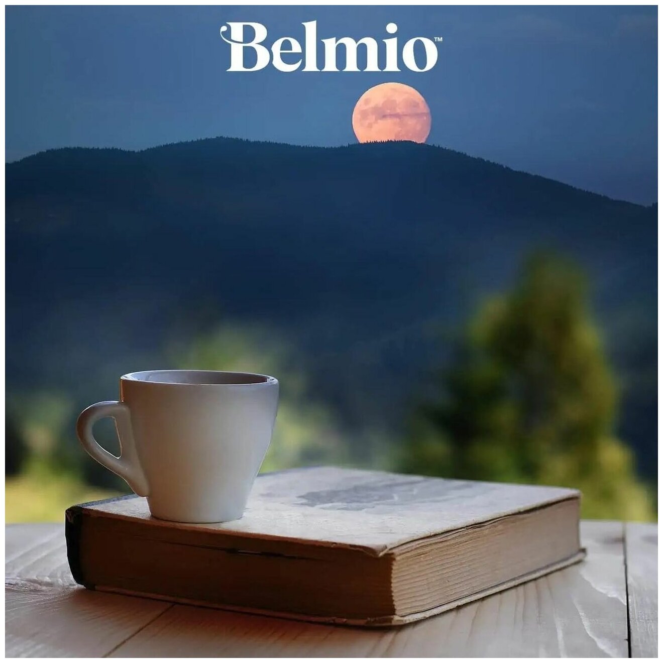 Кофе молотый в алюмиевых капсулах Belmio Espresso Forte (intensity 8) - фотография № 2