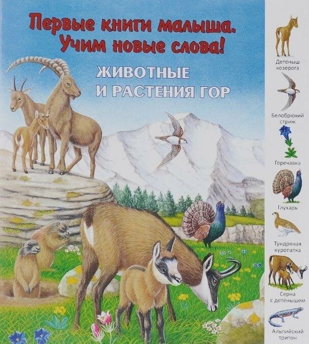 Животные и растения гор. Первые книги малыша. Учим новые слова!