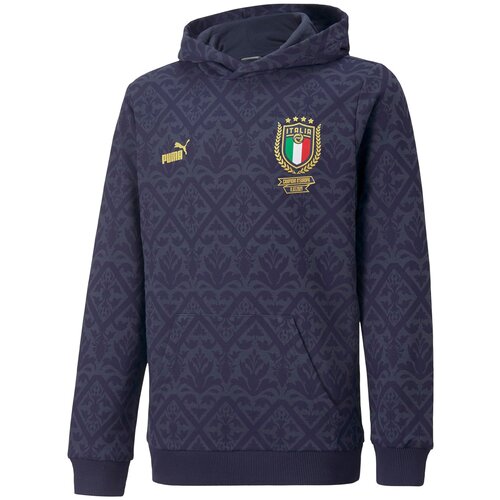 Худи/Puma/769996027/FIGC Graphic Winner Hoody Jr/синий/176