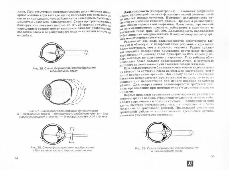 Что и как видят дети от рождения до 10 лет с сохраненным и нарушенным зрением. Учебное пособие - фото №5