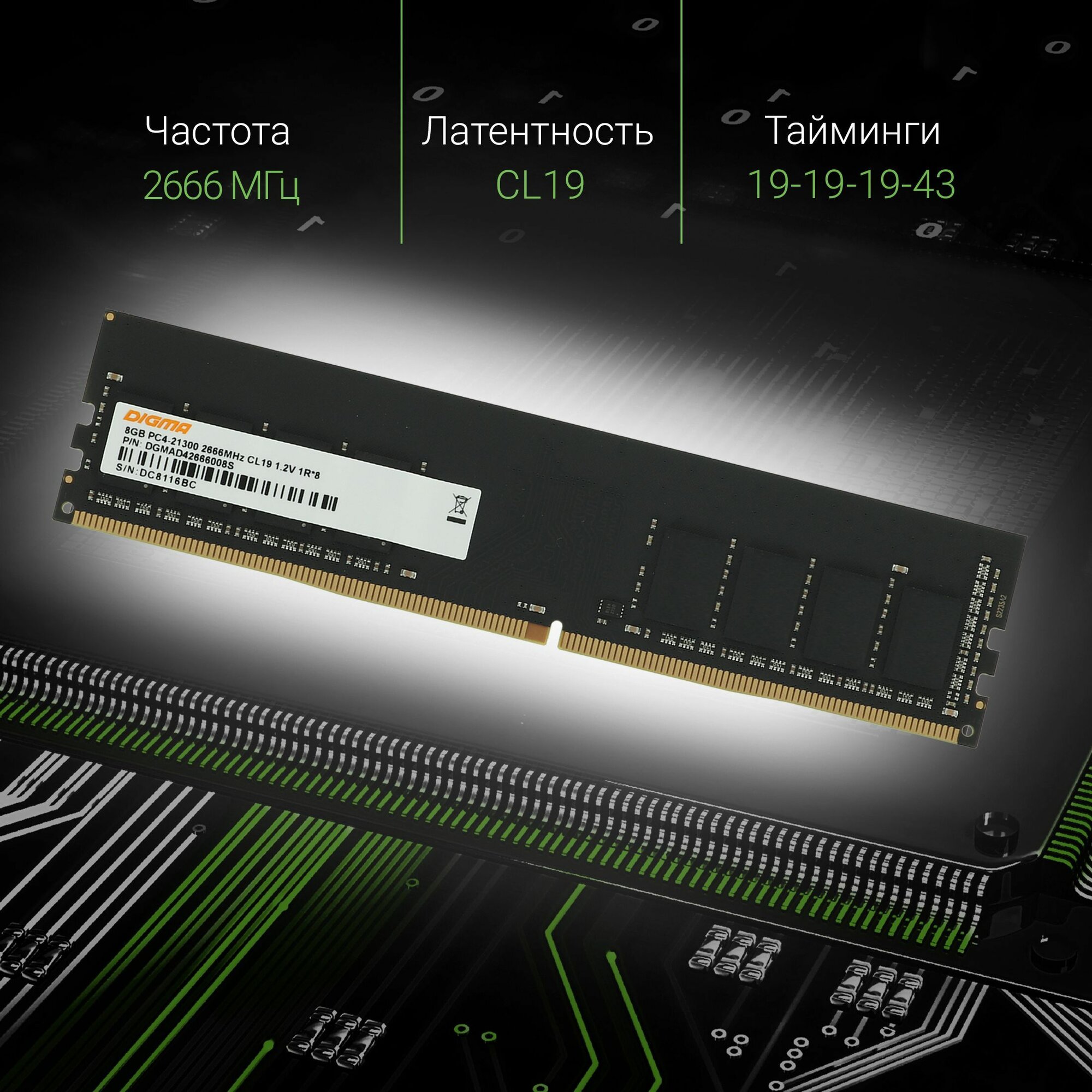 Оперативная память Digma, тип памяти DDR4, объем 8ГБ, скорость 2666МГц, форм-фактор DIMM — фото 1