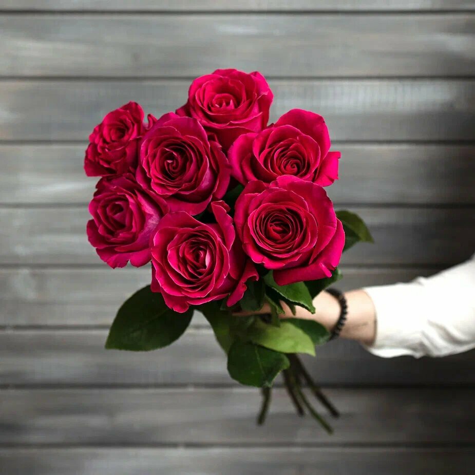 7 малиновых роз Эквадор 50 см