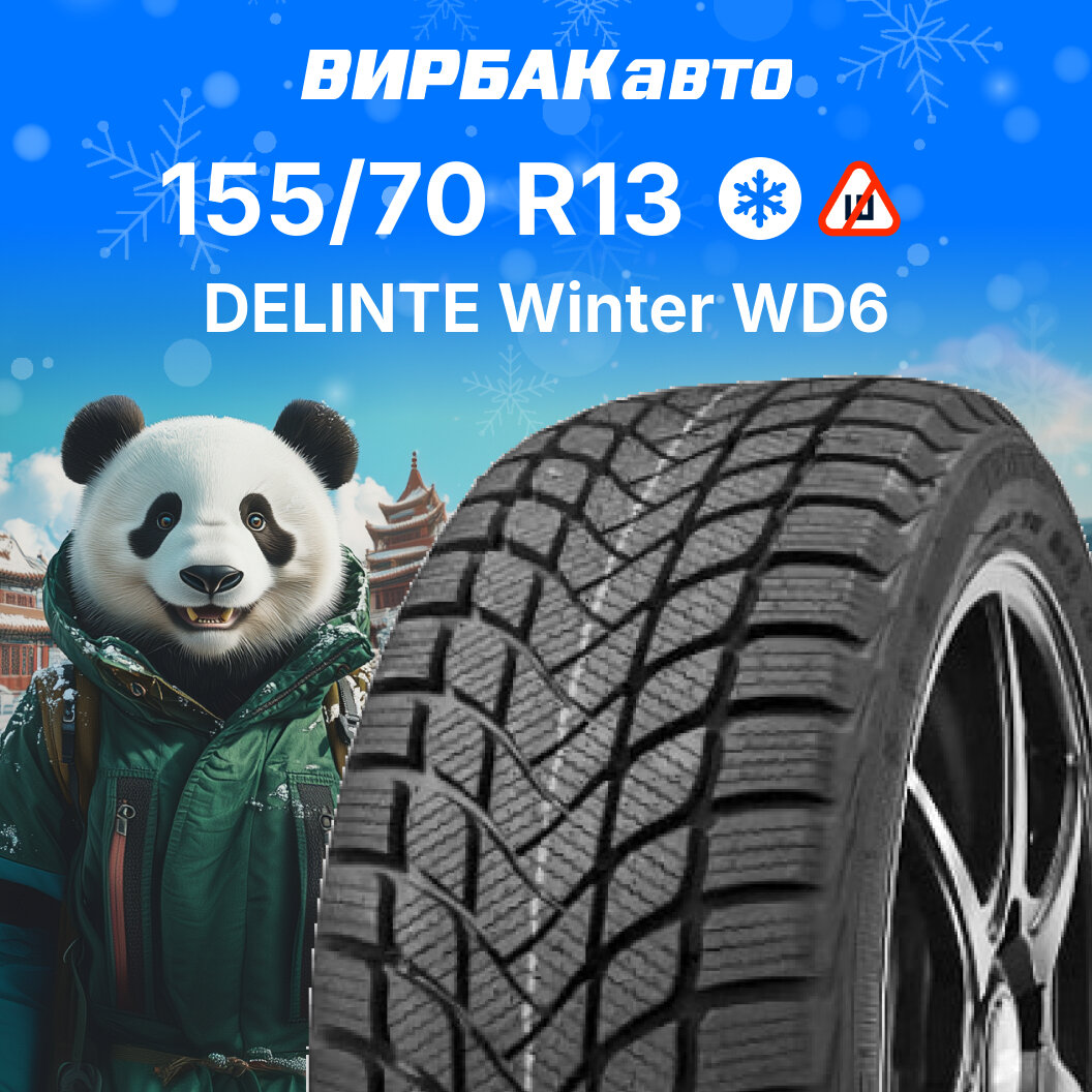 Зимние шины DELINTE Winter WD6 155/70R13 75T