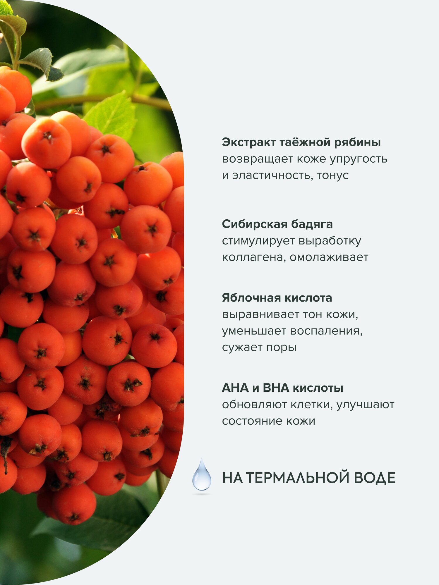 Изображение Рябиновый пилинг Рецепты бабушки Агафьи Аптечка Агафьи для лица для всех типов кожи, 100 мл
