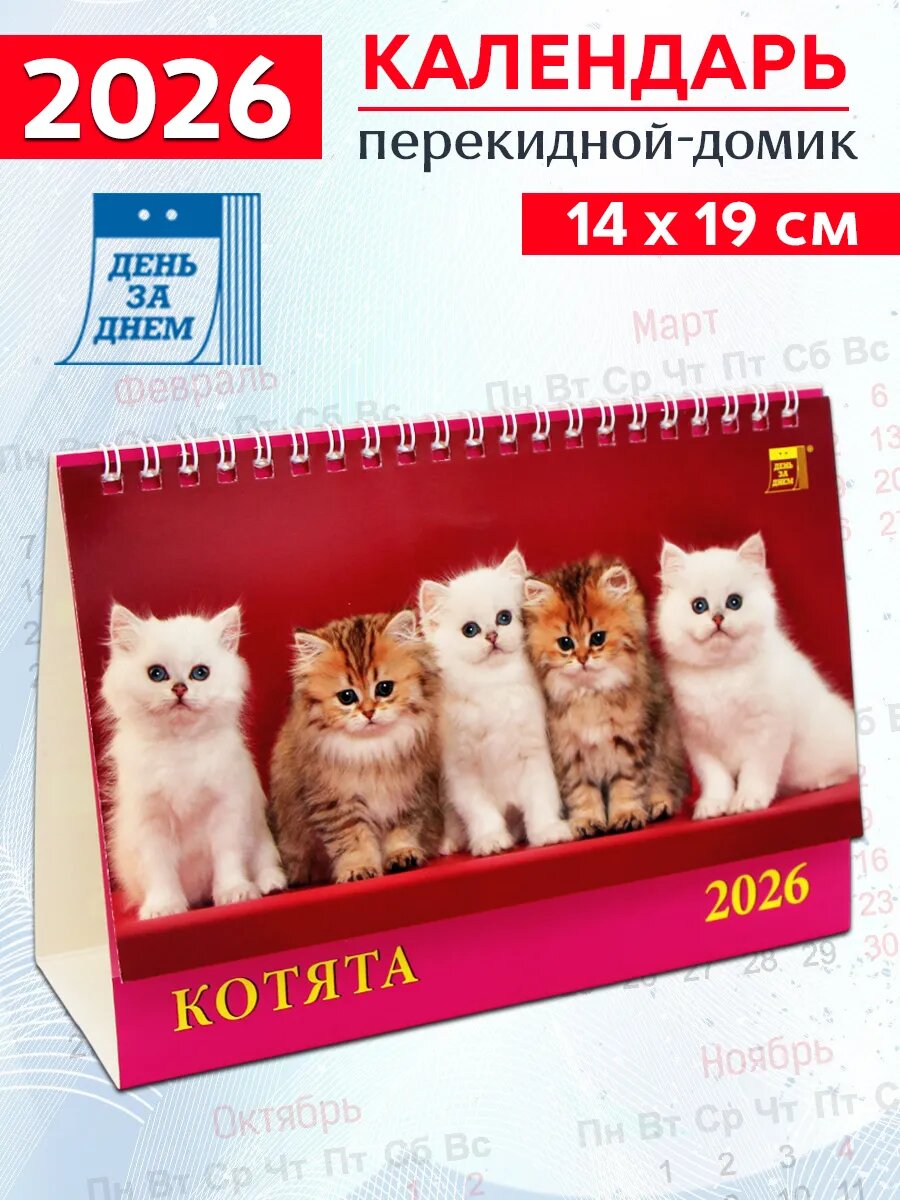 День за днем Календарь-домик на 2026 год "Котята" 140х190 мм