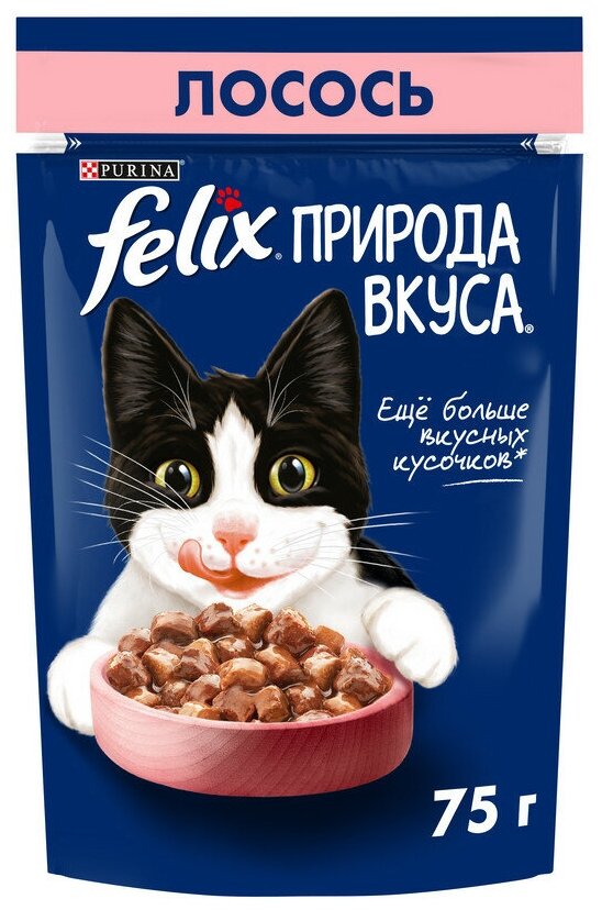 Felix Природа Вкуса влажный корм для взрослых кошек, с лососем в соусе (26шт в уп) 75 гр