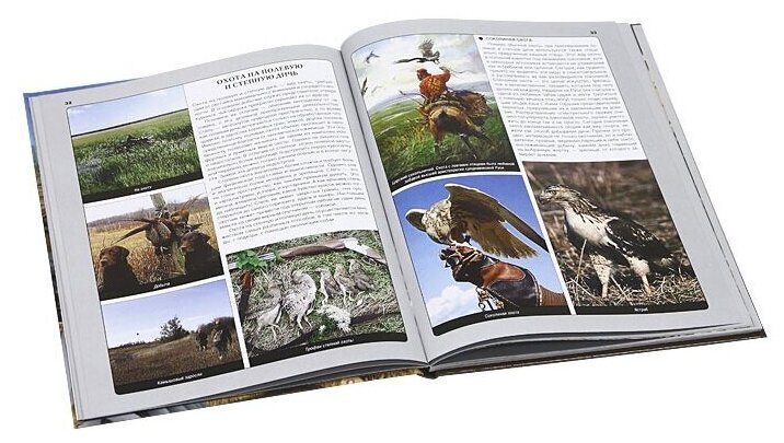 Легенды охоты — фото 1