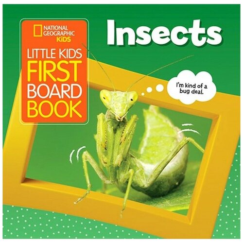 Little Kids First Board Book: Insects