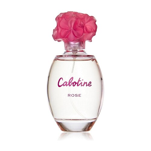 Gres туалетная вода Cabotine Rose, 100 мл, 360 г ежедневник лилия цветочный единорог