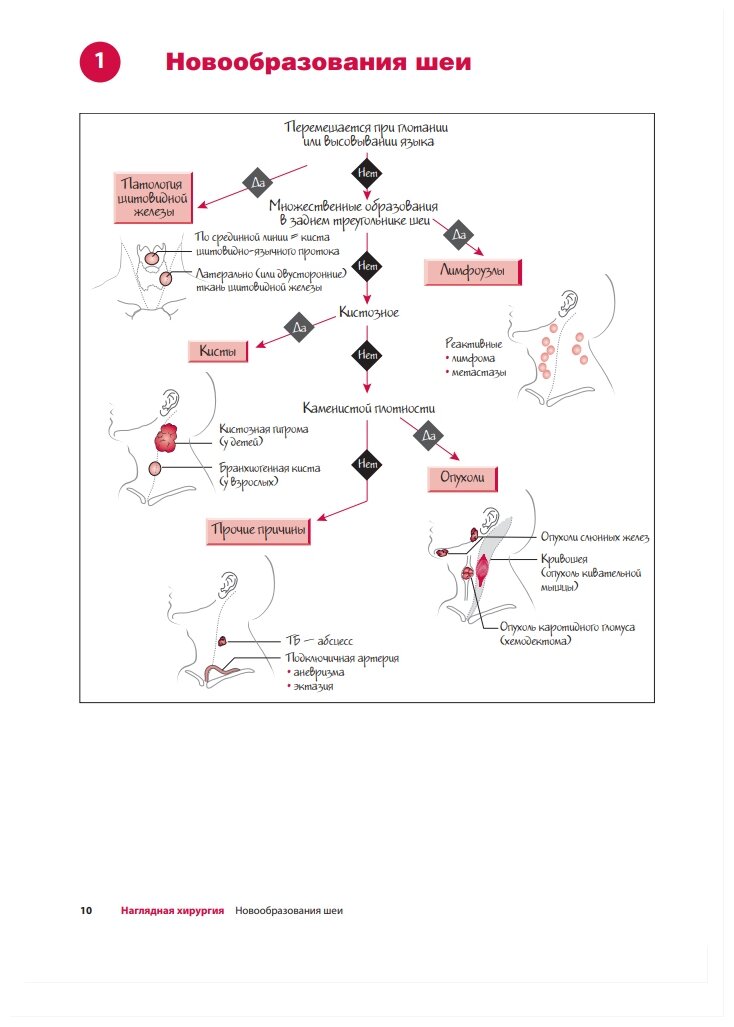 Наглядная хирургия (Пирс А. Грейс, Нил Р. Борлей) - фото №3