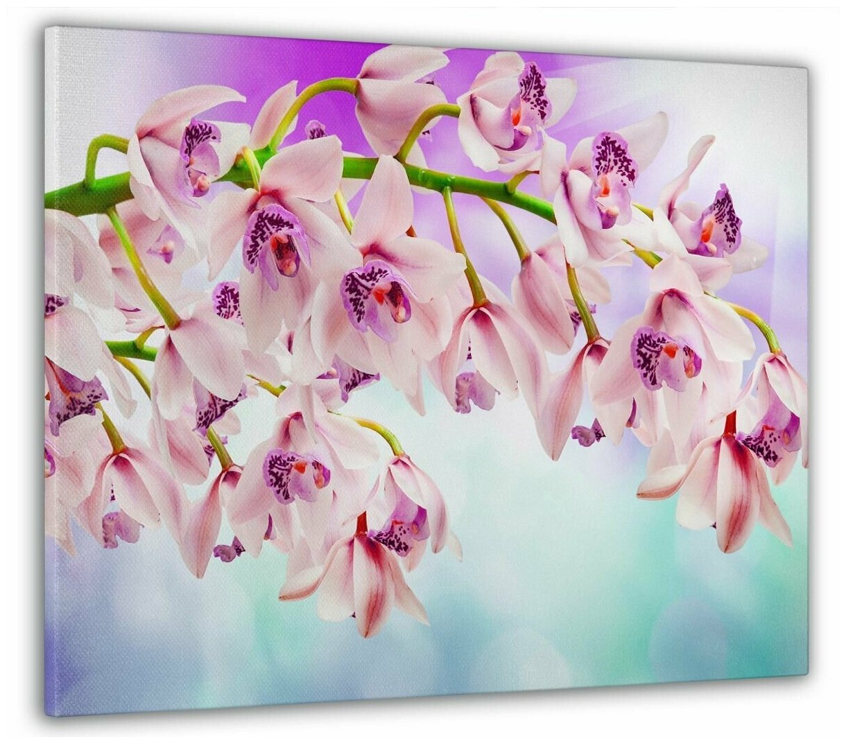 Картина на стену, для интерьера "Ветвь орхидеи" 50x70 см