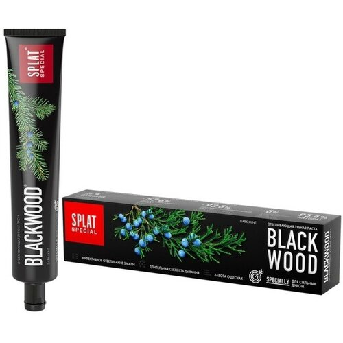 Splat Зубная паста Splat Special Black Wood, 75 мл зубная паста splat special blackwood черное дерево
