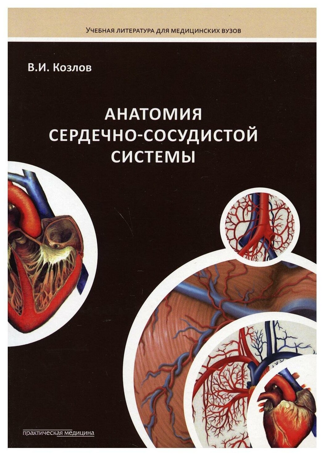 Анатомия сердечно-сосудистой системы. Учебное пособие для студентов медицинских вузов - фото №1