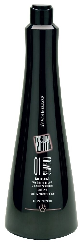  Iv San Bernard Black Passion 01      , 1 