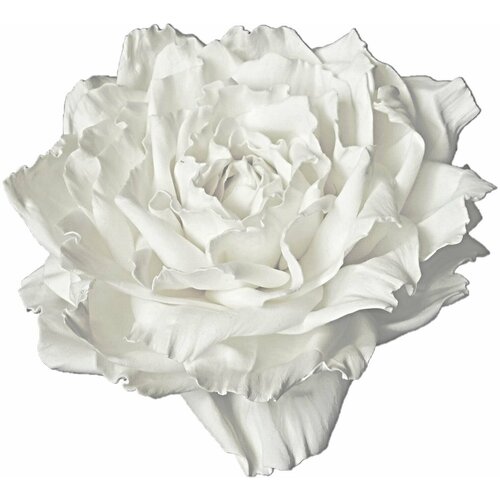 Заколка-брошь для волос/одежды/сумки большой цветок роза белая 0001