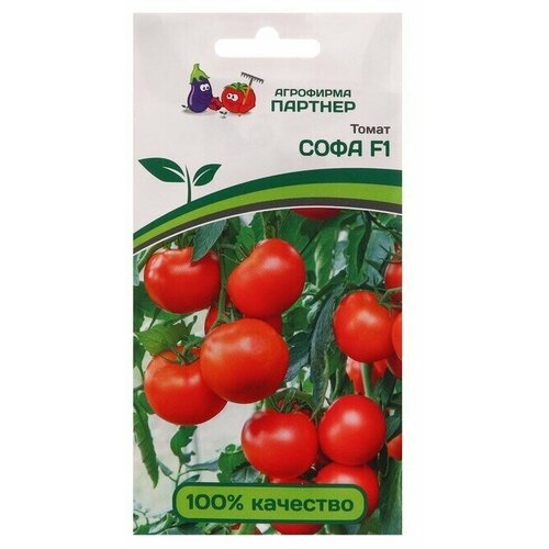 Семена томат Софа , 0,05 г 2 упаковки