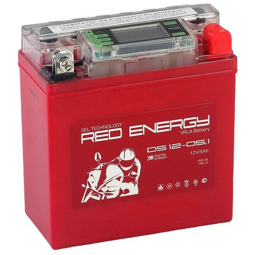 Аккумуляторная батарея RED ENERGY DS 1205.1
