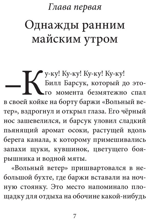 Билл Барсук и пираты (BB Уоткинс-Питчфорд Д.) - фото №4