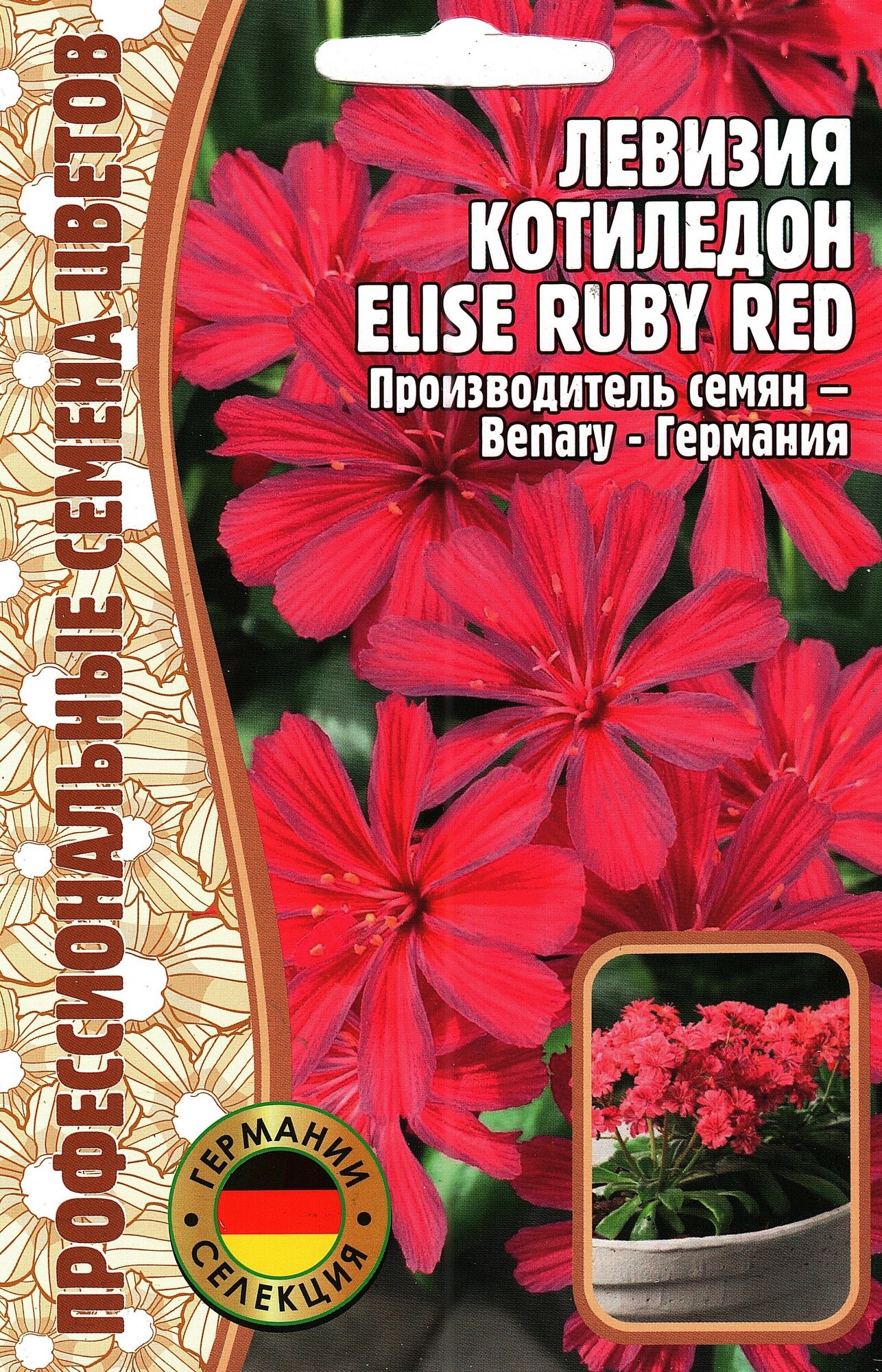 Левизия Котиледон ELISE RUBY RED многолетник ( 1 уп : 3 семени )