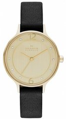 Наручные часы SKAGEN SKW2266