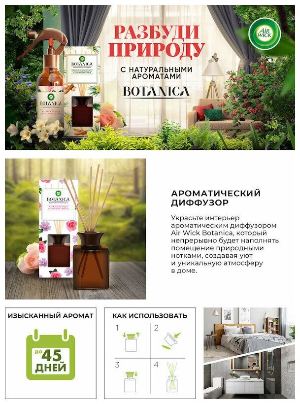 Ароматический диффузор Air Wick Botanica Свежий Ананас и Тунисский Розмарин 80мл RECKITT BENCKISER - фото №4