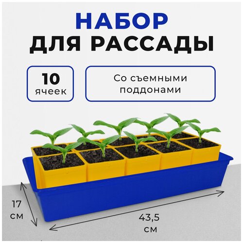 Набор для рассады с поддоном, 10 горшков по 0.5 л