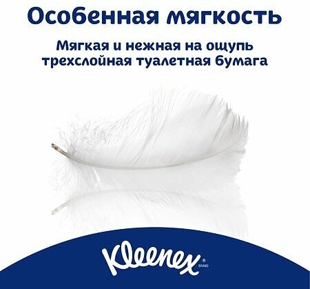 Туалетная бумага Kleenex "Нежная ромашка", 3 слоя, 8 рулонов - фото №9