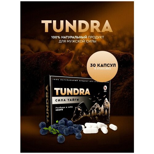 TUNDRA / Возбудитель для мужчин афродизиак для потенции 30 шт