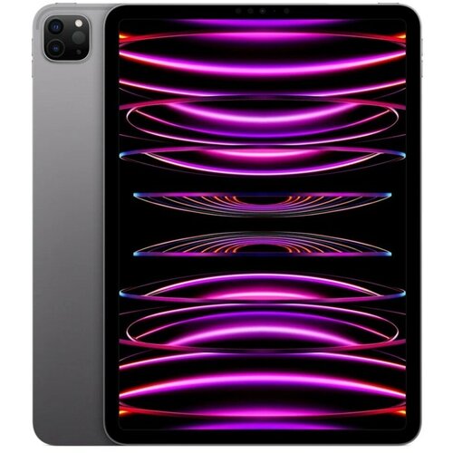Apple iPad Pro 11 M2 2022 1024 ГБ Wi-Fi Cellular космический серый 15438000₽
