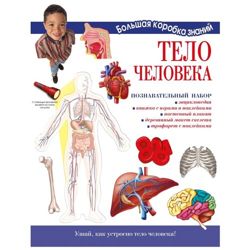 система костей строение скелета плакат Книга Аванта (АСТ) Большая коробка знаний. Тело человека. Познавательный набор, мультиколор