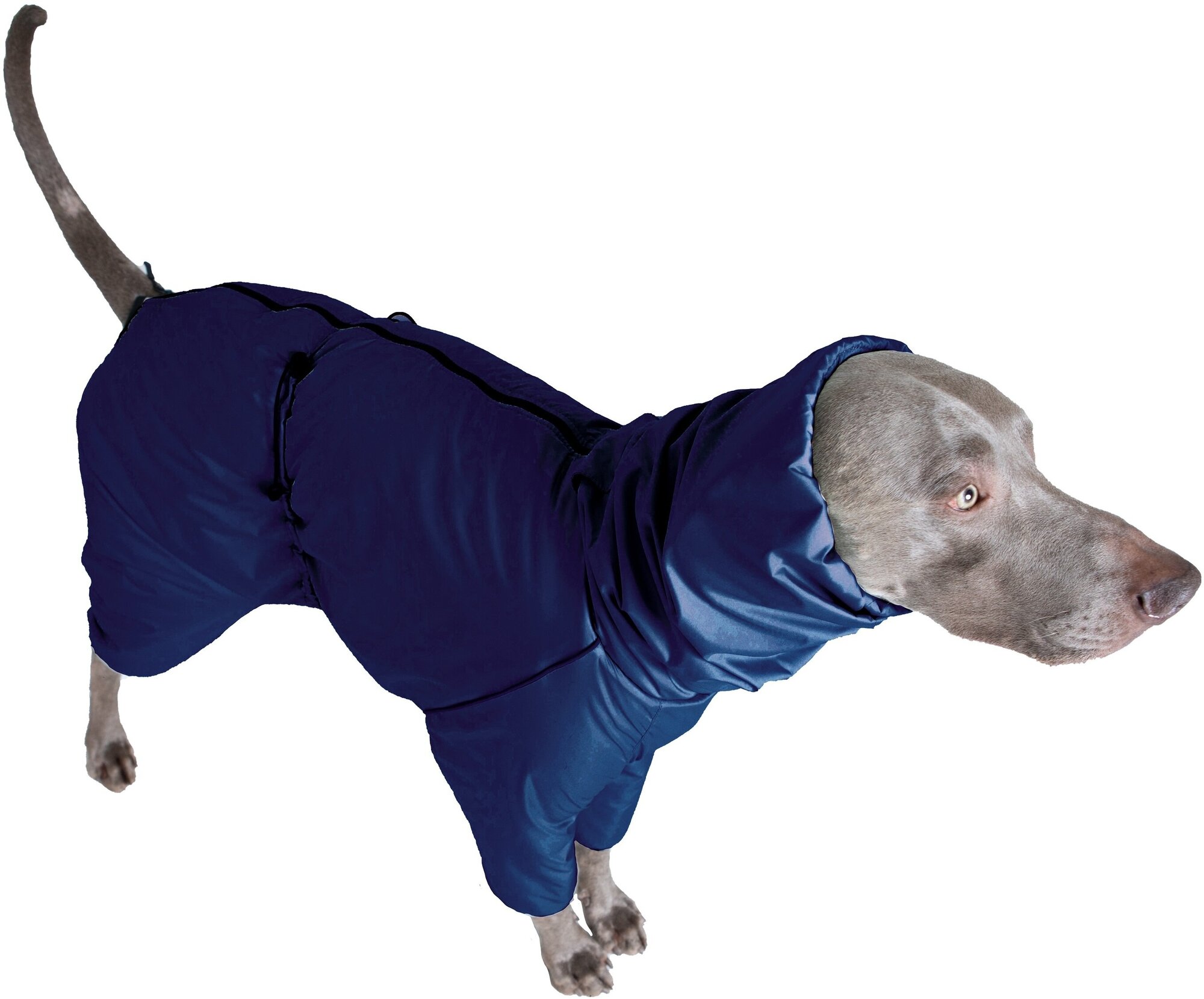 Дождевик комбинезон для собак средних пород, цвет т.синий/черный, М3 - фотография № 11