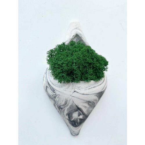 Подвесное настенное кашпо из гипса со мхом