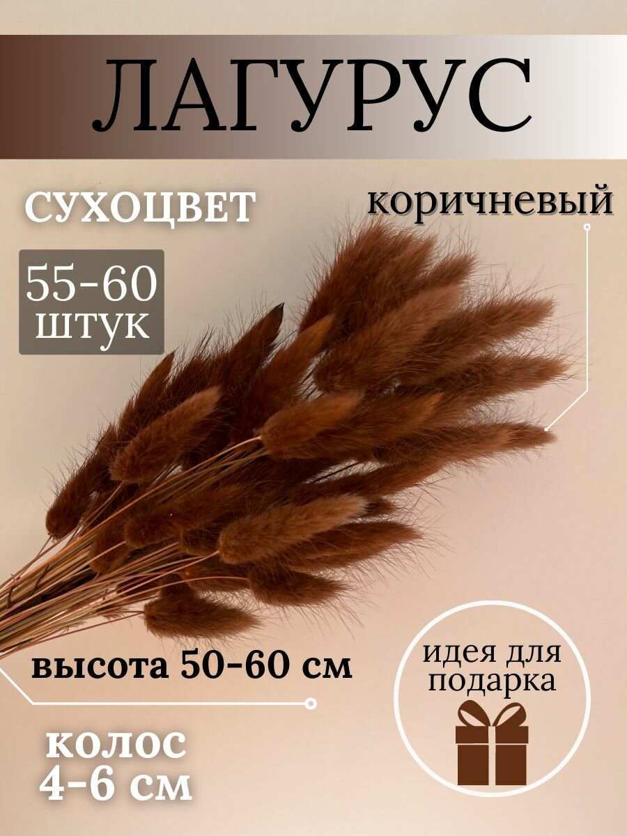 Натуральные сухоцветы лагуруса (Цвет: коричневый)