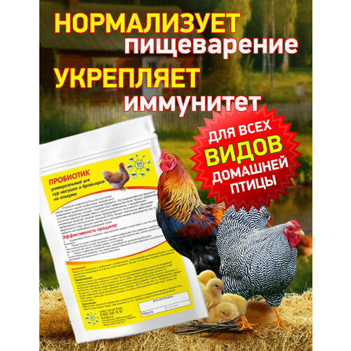 Пробиотик универсальный для кур несушек и бройлеров на откорме 250 гр