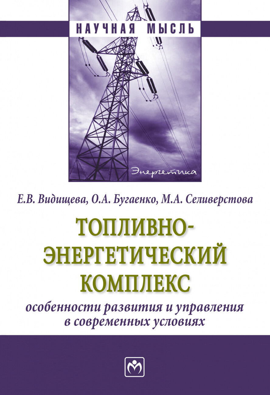 Топливно-энергетический комплекс. Особенности развития и управления в современных условиях. Монография - фото №2