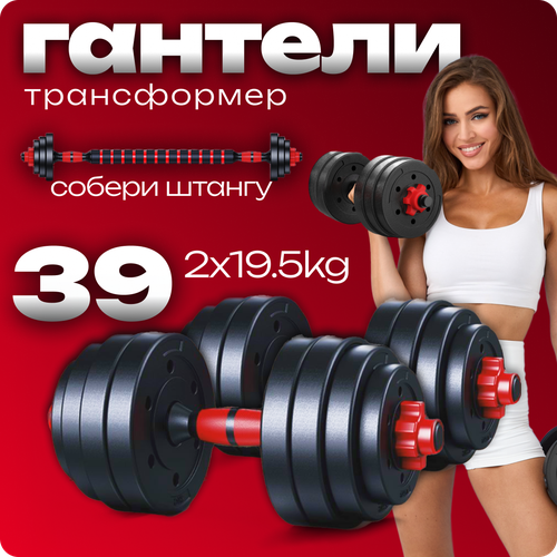 Гантели разборные с грифом Атлант 19,5 кг 2 шт, общий вес 39 кг
