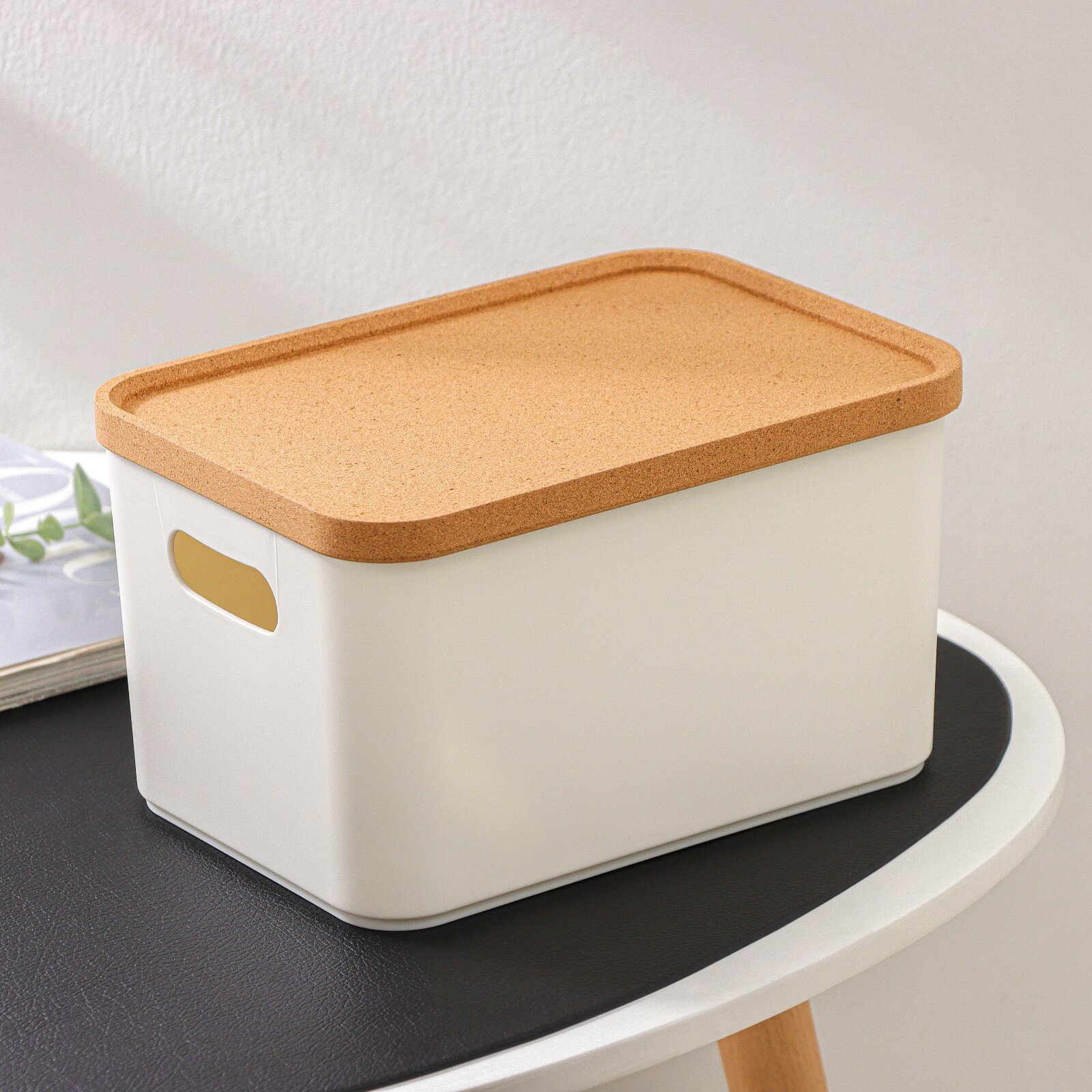 Корзина для хранения с крышкой Korely maxi 2.4 л 23.5×16.5×13.5 см бежевый
