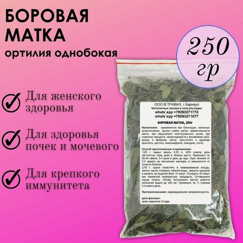 Изображение товара Боровая матка (ортилия однобокая) для женщин, побег с листом цельная, чистая 250г