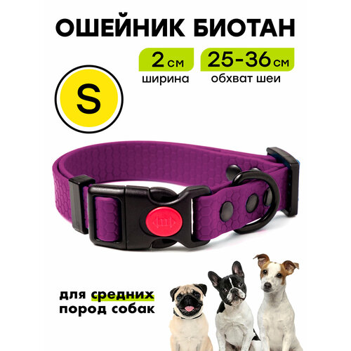 Ошейник из биотана 25-36 см (S), 20 мм, Woofy "Iron" водостойкий, для небольших и средних собак, фиолетовый
