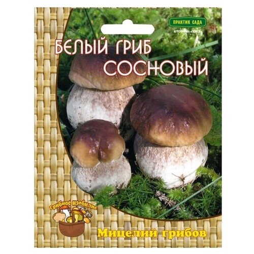 Мицелий грибов ПОИСК Белый гриб сосновый 60 мл семена мицелий грибов белый гриб сосновый