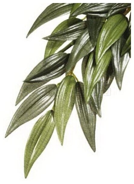 Искусственное растение Hagen ExoTerra EX Jungle Plants Рускус (PT3051), 70×20 см
