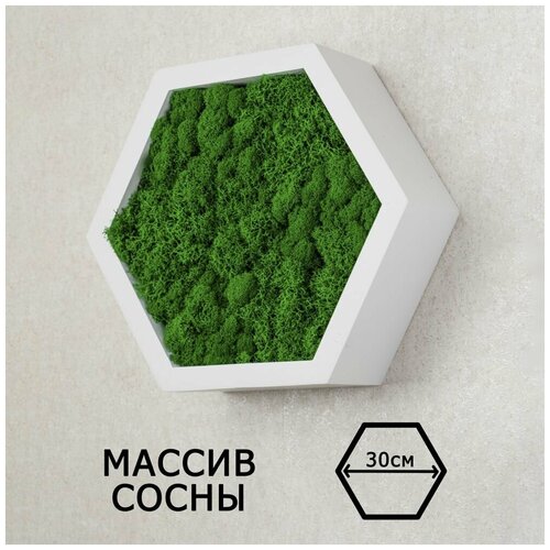 Полка - пано со мхом 