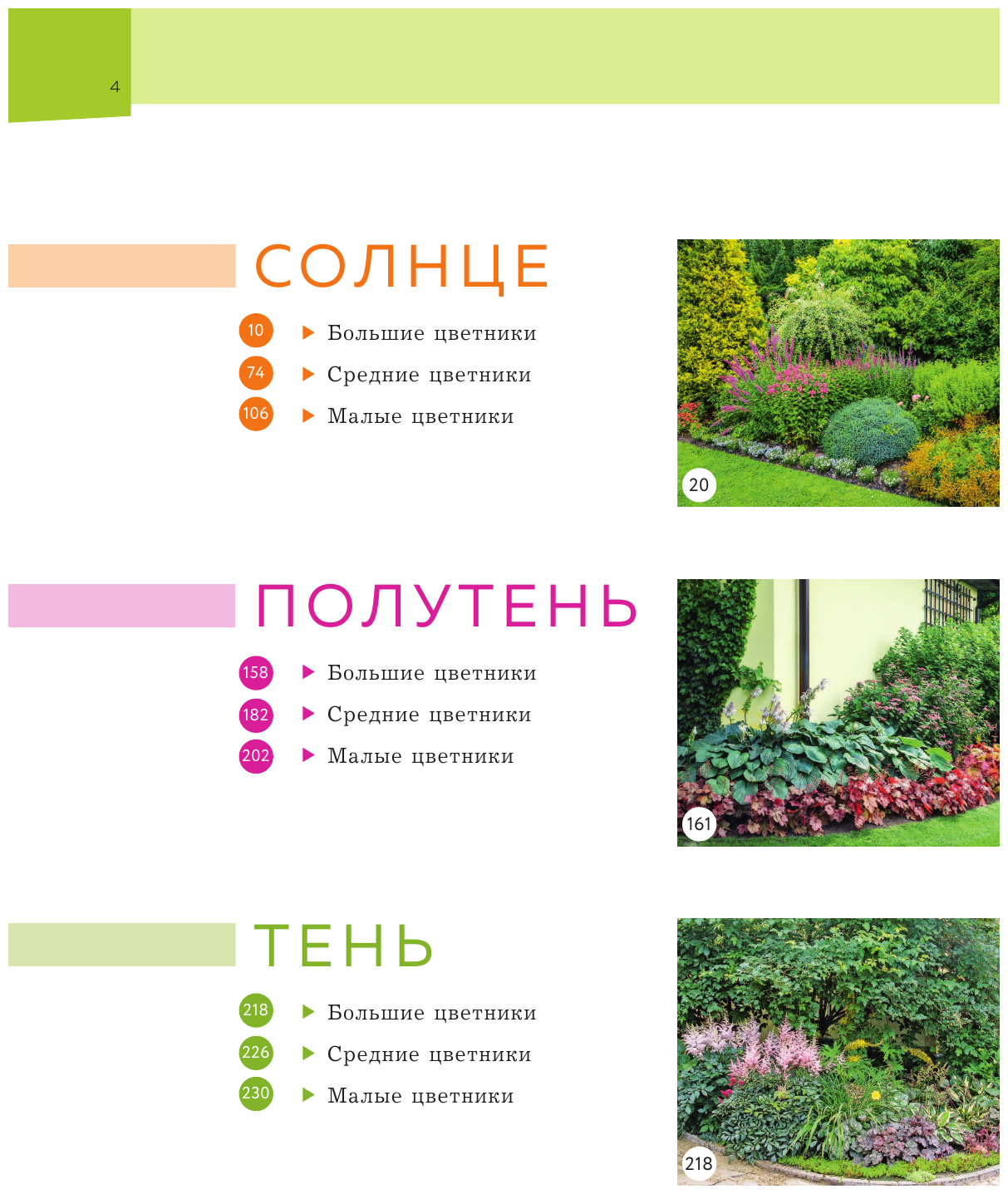 Цветники. 95 простых композиций для любого уголка сада (новое оформление) - фото №7