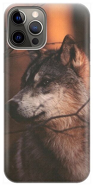 Силиконовый чехол на Apple iPhone 12 Pro Max / Эпл Айфон 12 Про Макс с рисунком "Красивый волк"