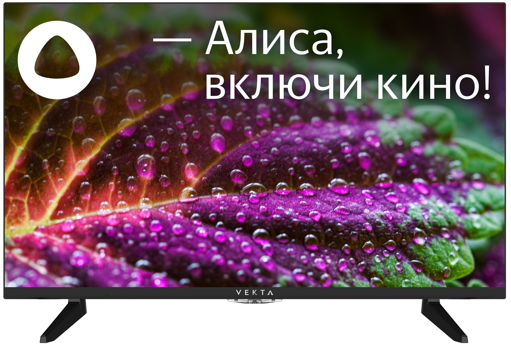 Телевизор VEKTA LD-32SR5112BS