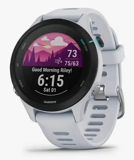 Спортивные часы Garmin Forerunner 255S Music Белый