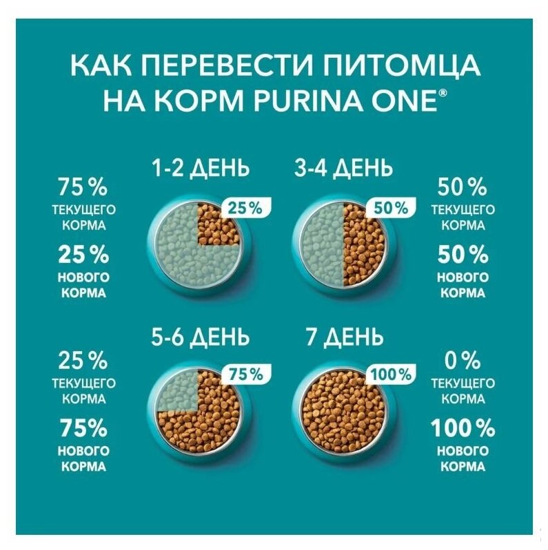 Сухой корм для кошек 1.5кг х 4шт, Purina ONE Housecat при домашнем образе жизни, с индейкой и цельными злаками, 1500гр - фотография № 7